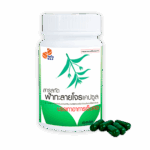 สารสกัดฟ้าทะลายโจร แคปซูล - Image 2