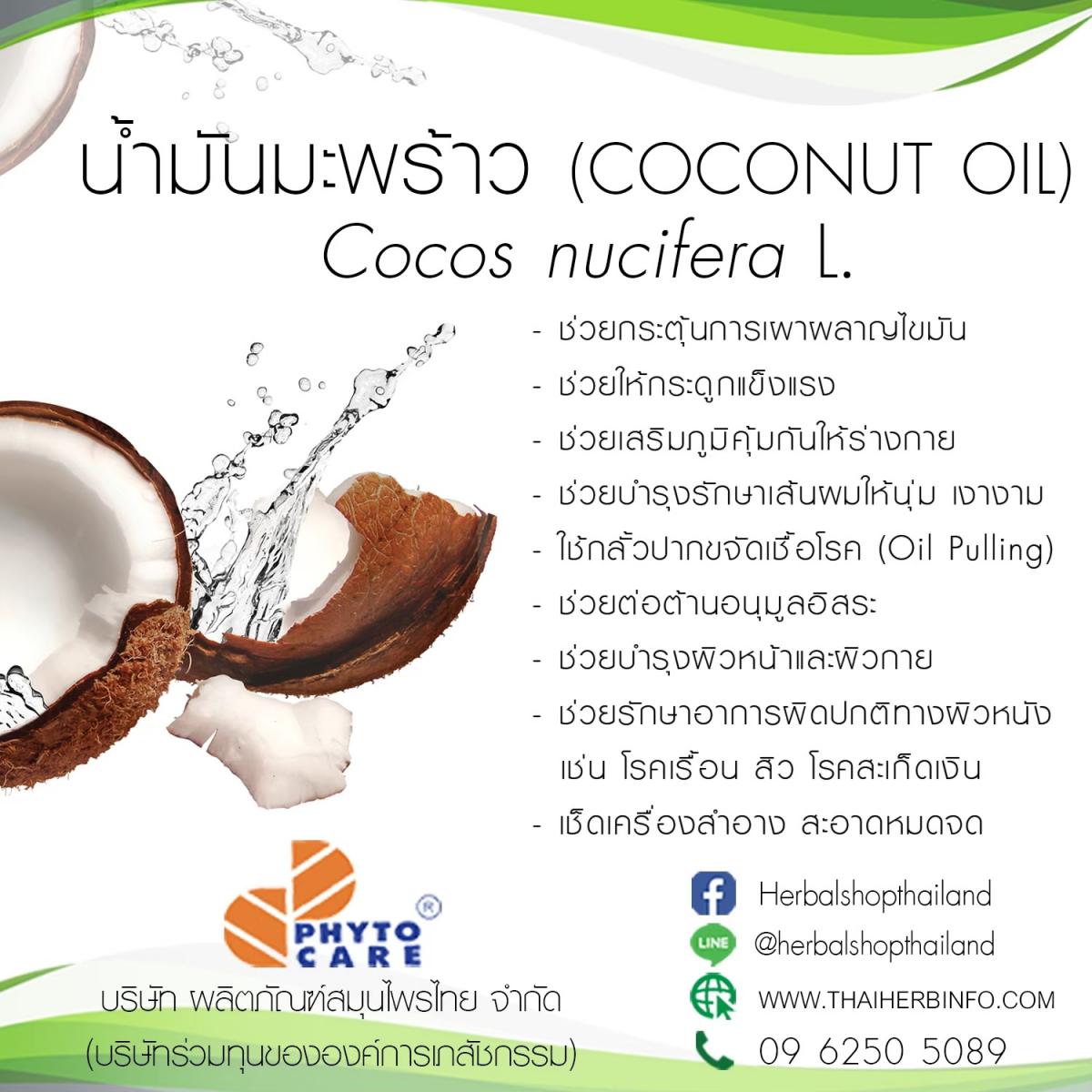 บุคคลต่อไปนี้ ห้ามทานน้ำมันมะพร้าวเด็ดขาด ! | Thai Herbal Products